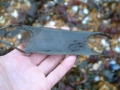 Common Skate