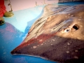 Common Skate