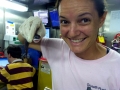 Cookie-Cutter Shark
