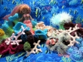 Coral Reef