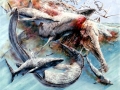 Cretoxyrhina