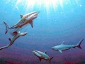 Cretoxyrhina