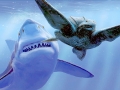 Cretoxyrhina