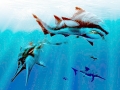 Cretoxyrhina