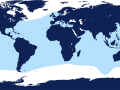 Cuvier's Beaked Whale