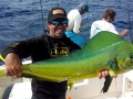 Dolphinfish