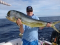 Dolphinfish