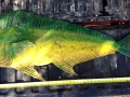 Dolphinfish