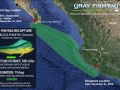 Dolphinfish