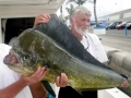 Dolphinfish