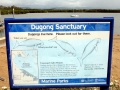 Dugong