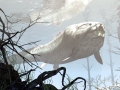 Dunkleosteus