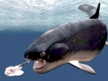 Dunkleosteus