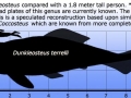 Dunkleosteus