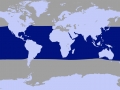 Dwarf Sperm Whale
