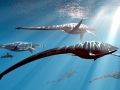Elasmosaurus