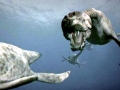 Elasmosaurus