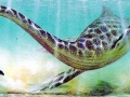 Elasmosaurus