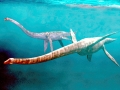 Elasmosaurus