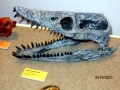 Elasmosaurus