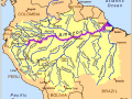 Electric Eel