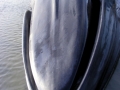 Fin Whale