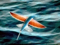 Flying Fish
