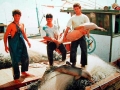 Franciscana Dolphin