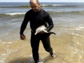 Franciscana Dolphin