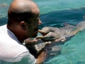 Franciscana Dolphin