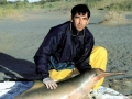 Franciscana Dolphin