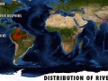 Franciscana Dolphin