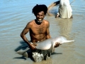 Franciscana Dolphin