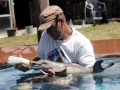 Franciscana Dolphin