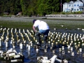 Geoduck Clam