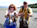 Geoduck Clam