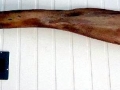 Gervais' Beaked Whale