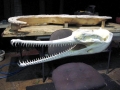 Gharial