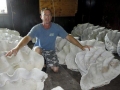 Giant Clam