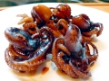 Giant Pacific Octopus