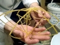 Giant Sea Spider
