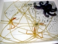 Giant Sea Spider