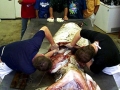 Giant Squid