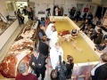 Giant Squid