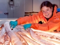 Giant Squid