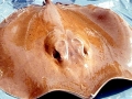 Giant Stingray