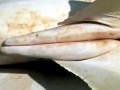 Golden Hammerhead Shark
