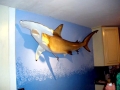 Golden Hammerhead Shark