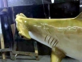 Golden Hammerhead Shark