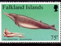 Gray's Beaked Whale